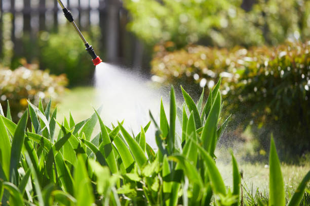 Tamper-Resistant Bait Stations for Rodents in Saticoy