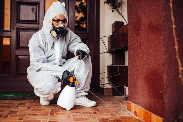 Attic and Crawl Space Rodent Treatment in Saticoy